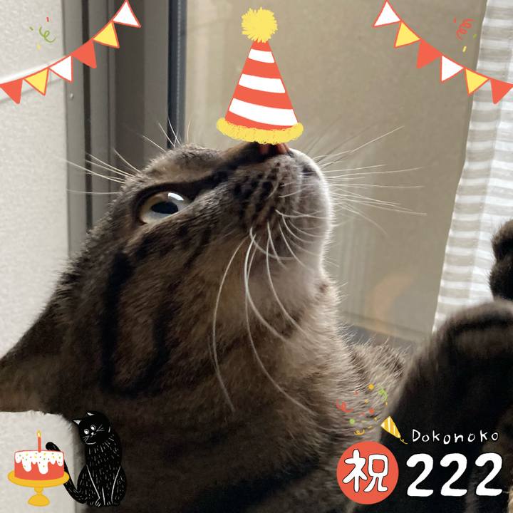 E5392811 ca10 402b 82de 415a4df1f8ee 1645509361077