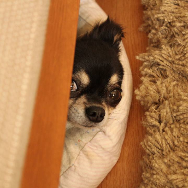 E539564e 555b 455f aba5 6c7099835a0f 1539931834260