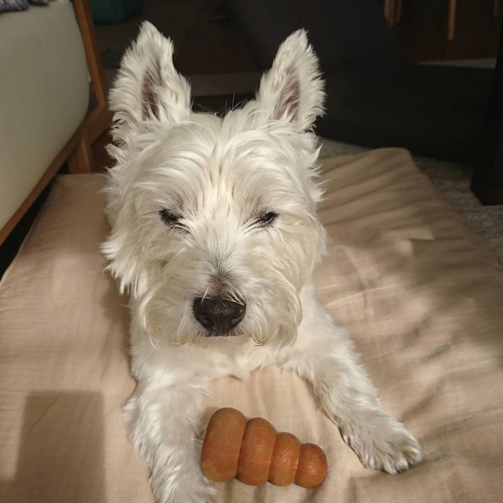 E5398f14 d4e7 42cf ab1b 84c889531206 1538529118690