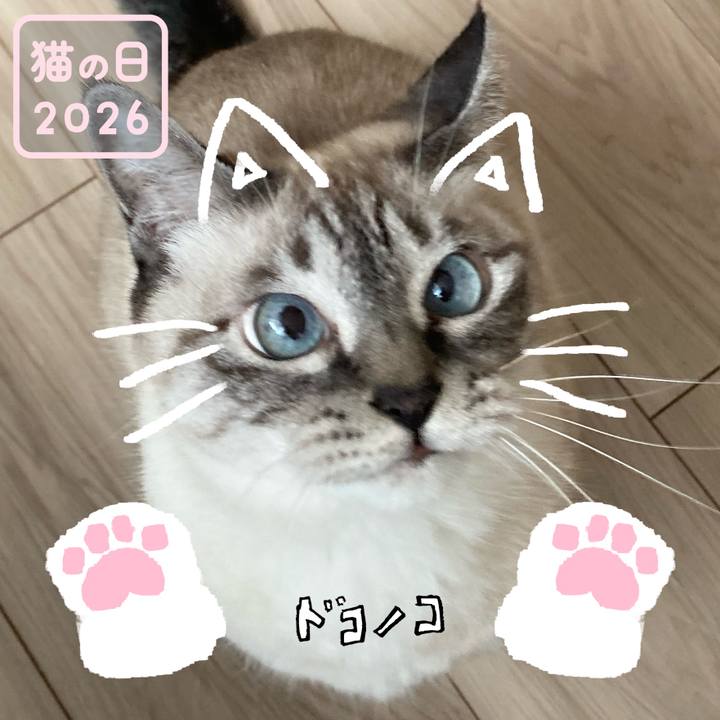 E5399c65 5213 4531 b413 a3e49a4911d0 1771730786797