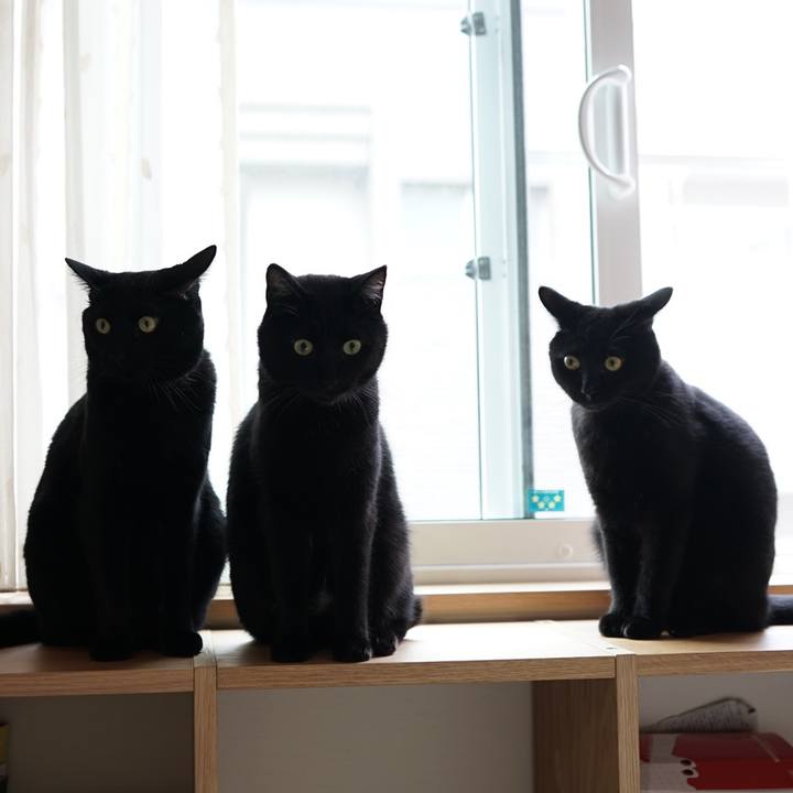 E539a327 ea67 4566 a476 ade8f9ce757a 1571912370289