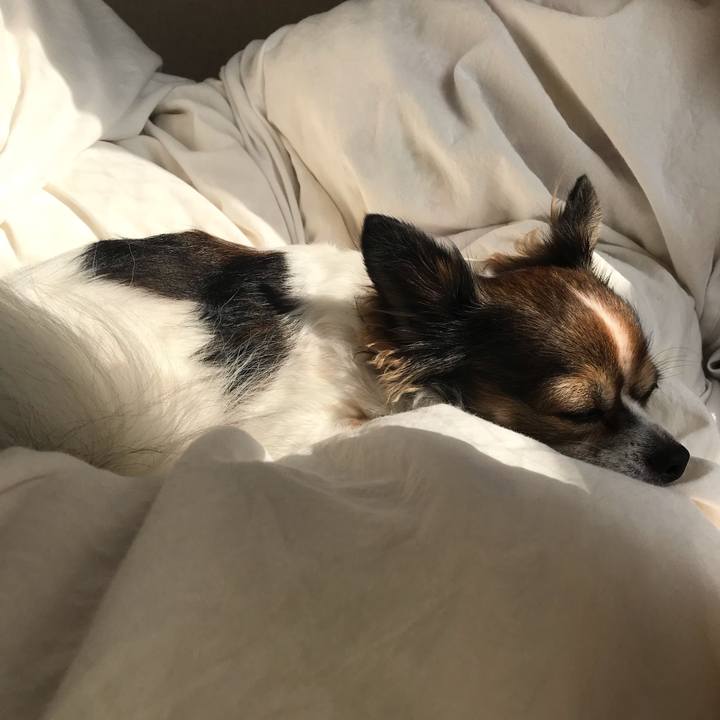 E539aad1 fad9 47f0 91d3 c69c1f77b672 1541767737148