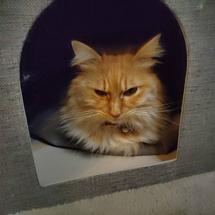 E539b21c 10fa 4a8c 848f caac0493e61a 1673358544490