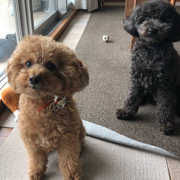 E539b8ed e18a 42a9 b5e2 674e474f76b2 1579056668436