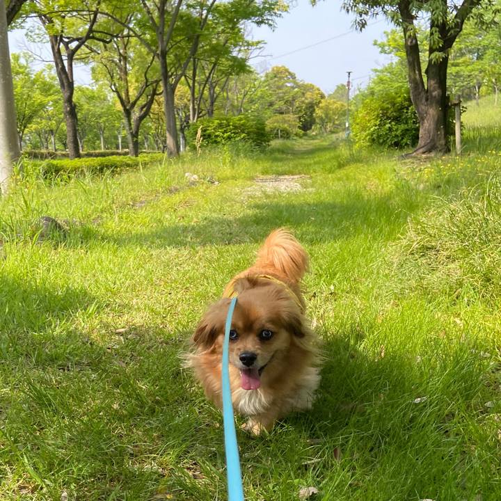 E539ddba d238 40b1 ad1e 6981abfc3e78 1620520319270