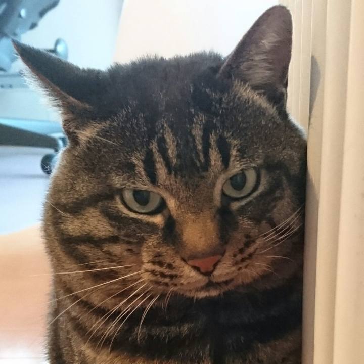 E53a0075 4a4f 429d 81a0 910ea97d4b3b 1511175414521