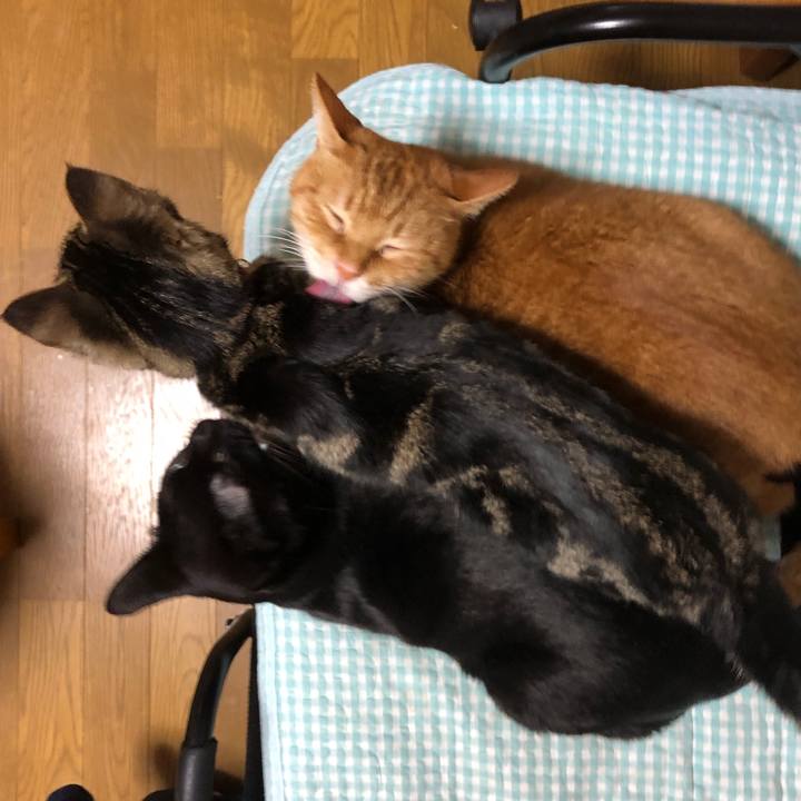 E53a3e35 7492 4aa6 aafe dbc2ed85f9a0 1736334961431