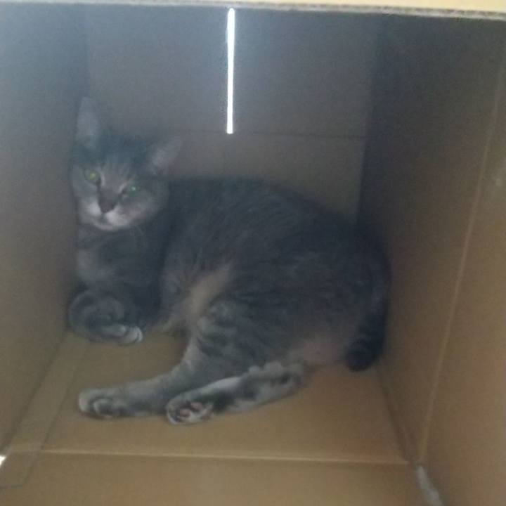 E53a5185 d9b9 48fc a73c 6098d7bd9ad9 1653636600131