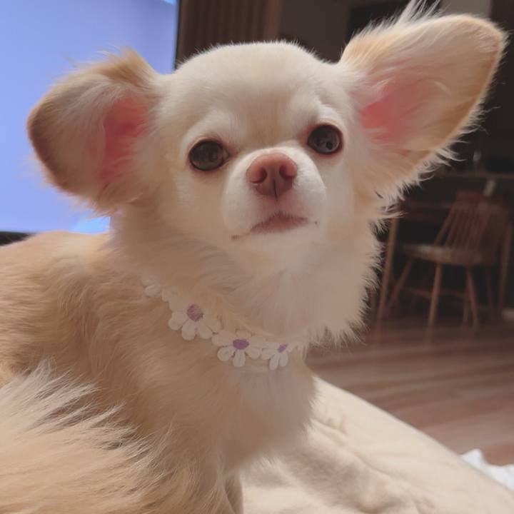 E53a9353 560b 48dc a188 a361b4eff256 1690802634928