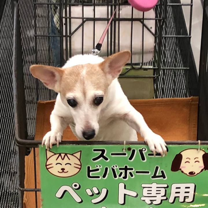 E53acb27 22ac 419e a787 a1314f0c19ff 1542098425324