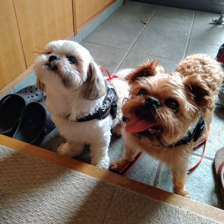 E53ae92c 86f5 42aa acb6 4e1ccdd0b2d1 1626246880972