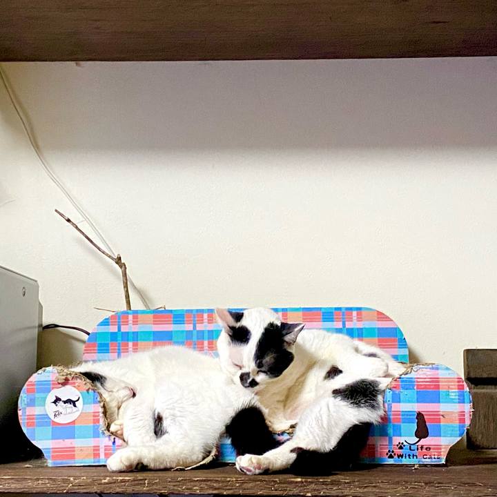 E53b2458 9873 4d97 8bbe 6817c38d21e4 1632961622882