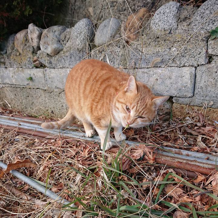 E53b5e54 0d5e 4500 a108 87b6702282ef 1578118185750