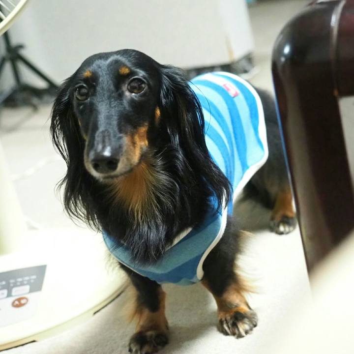 E53b6aaa 5a80 40e5 ac9b ff8677355d96 1536021159697