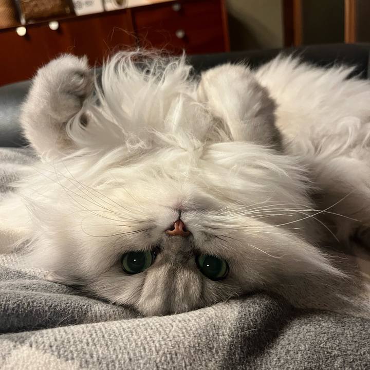 E53b6c00 e05a 4329 bd15 ab5521085d47 1678708528438