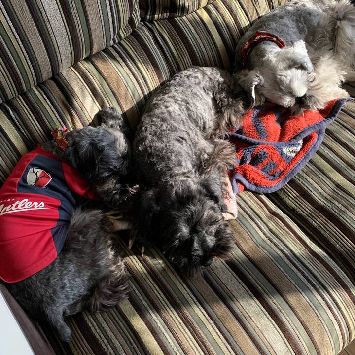 E53b8211 1a14 4312 ad17 2ed7f9a42944 1607397474209