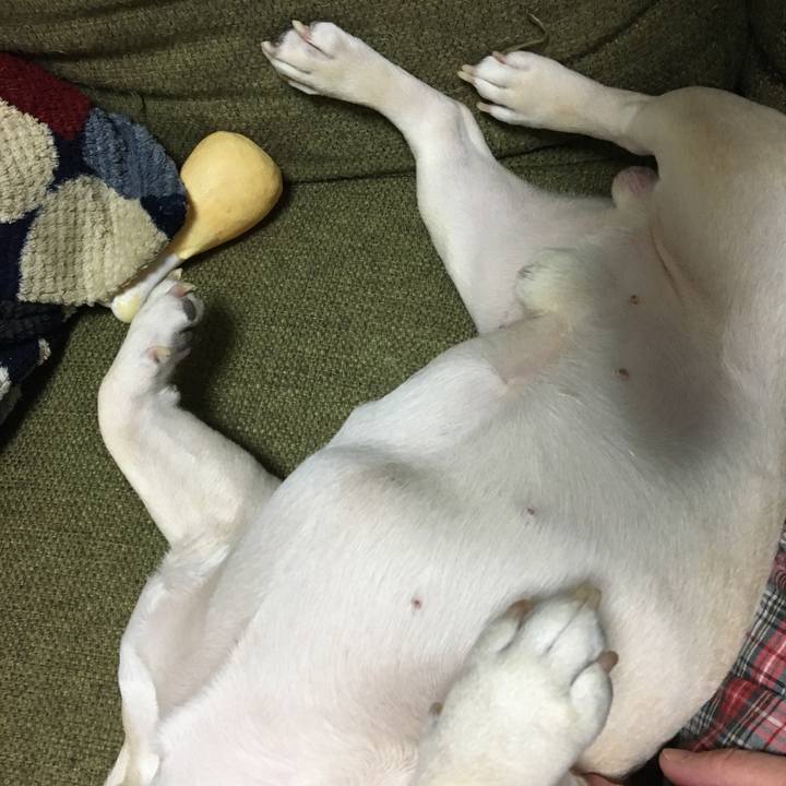 E53be3b7 1e2b 4a9e 8ee4 45d18a39e296 1512052044170