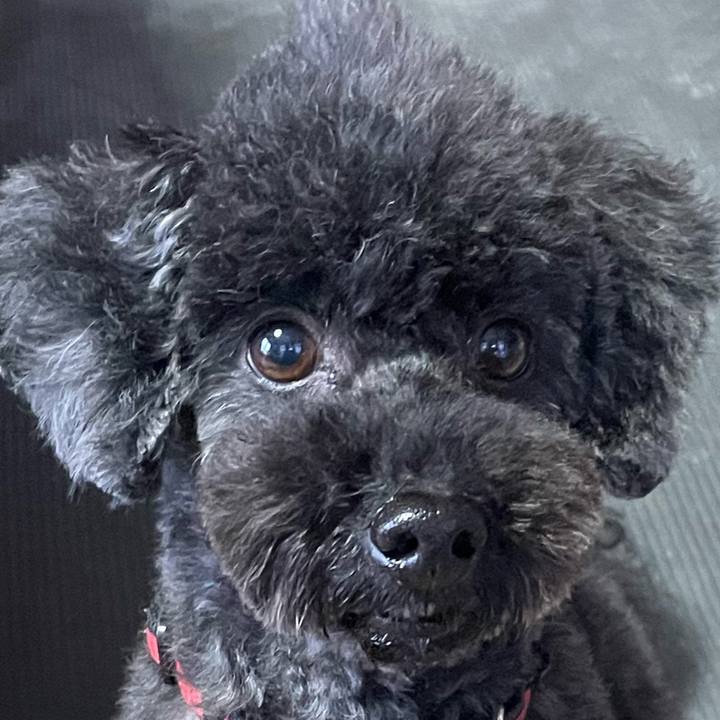 E53bee47 42e0 44f9 981e cee420410dbb 1736747368426