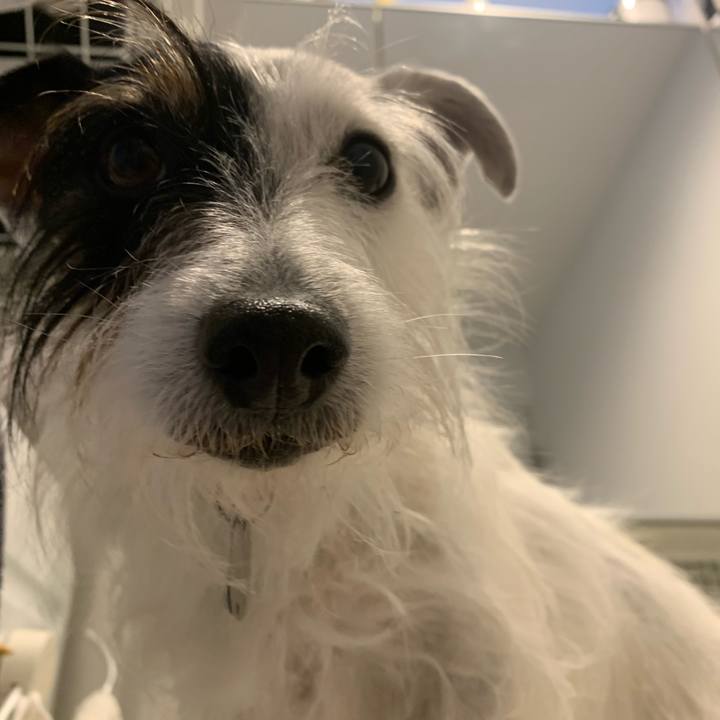 E53c0dd1 17b5 4b14 a314 3f2cd49ce4d1 1645775128846