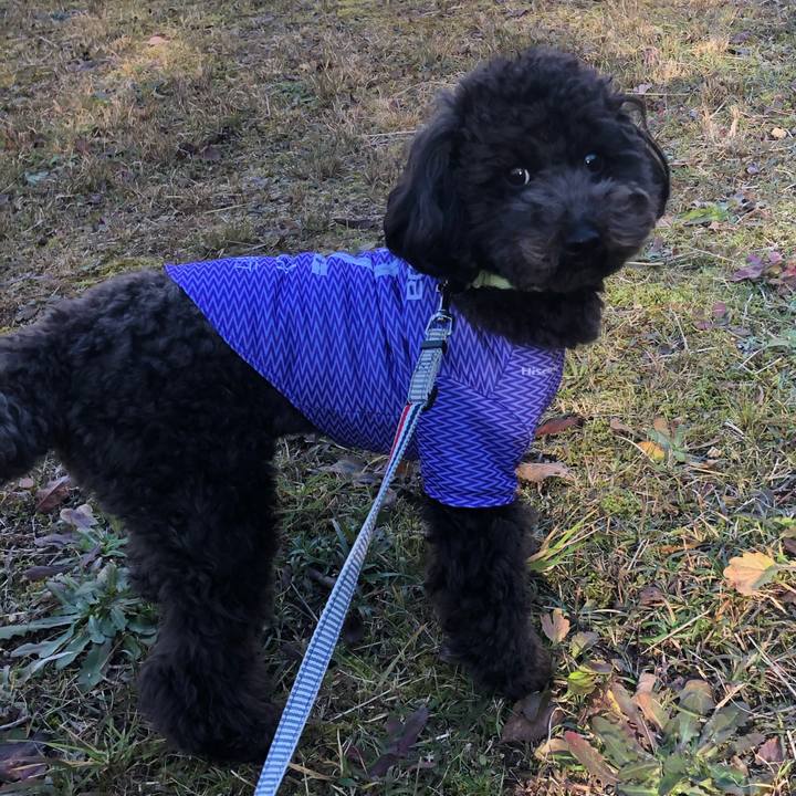 E53c0f6f bea2 45b4 92e1 de3745d65a7d 1578673817015