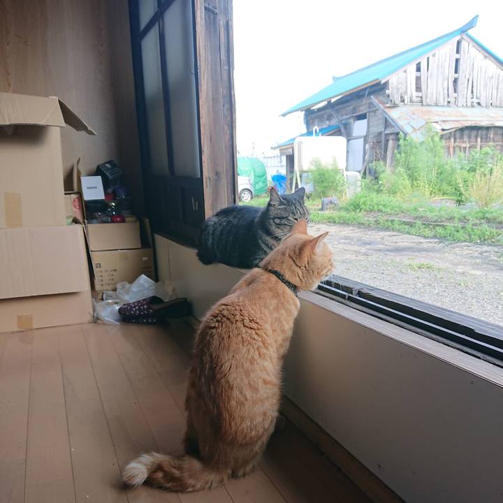 E53c278a 42a6 4465 bb8f 543173f366e7 1661669427957