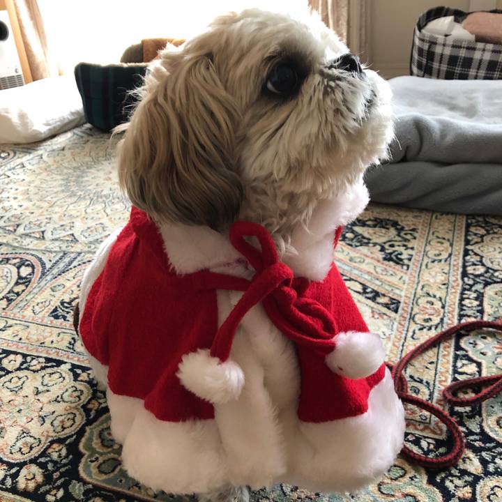 E53c2e10 e805 4bd8 b843 b765437fa48c 1576275470277