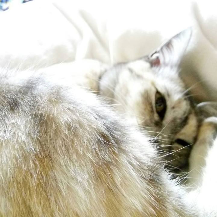 E53c449f 6659 4196 a27f d905057bed62 1523024734637