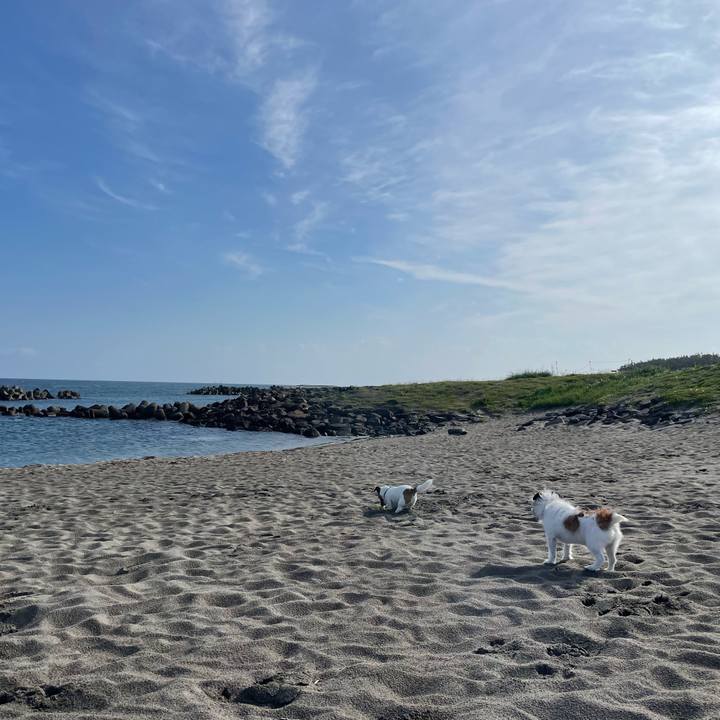 E53c6e93 0f18 4e6f 8595 967b8f0ee8bc 1718592343485