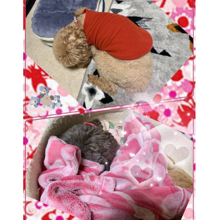 E53c724e 4512 4301 ab44 043b50cc75b0 1613564834213