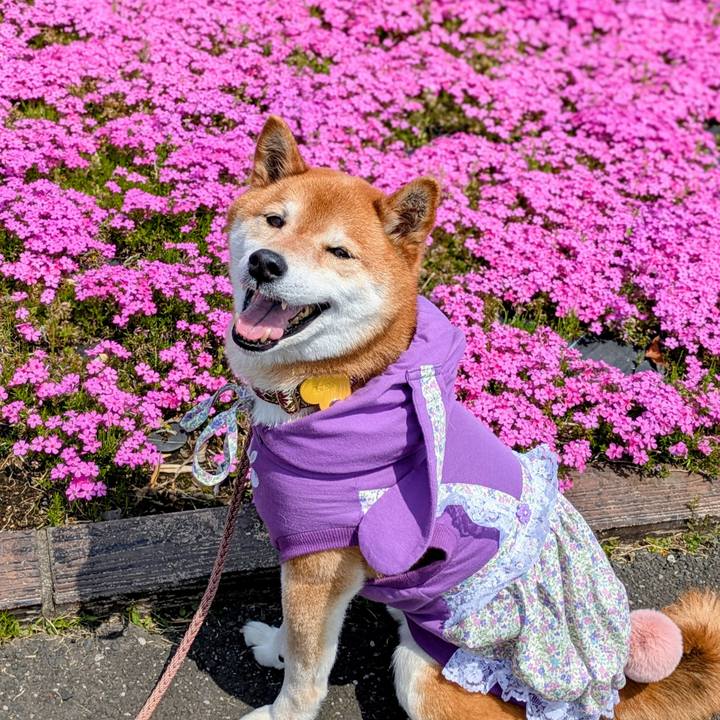 E53c82bd a1a8 493f 8874 6f2c46d998ac 1745406808287