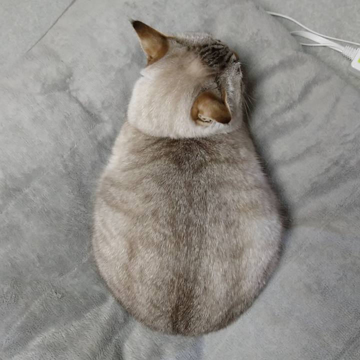 E53c844e a804 476d 8d76 b18a729fa6e4 1668512434269