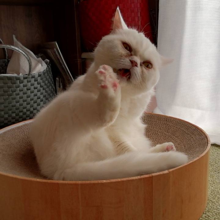 E53c90b4 5a06 4929 ad35 82b6e6238aca 1639265942233