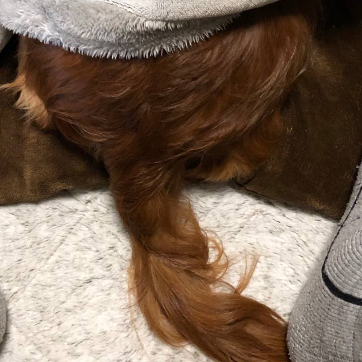 E53cc075 7eb7 4e3a a9ca 82e6c3ccf390 1550576319679