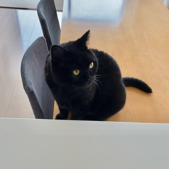 E53cd98a a2f6 4274 bfaf aa1ba259e709 1662692193708