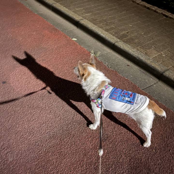 E53d01c3 0356 49ac a773 597767ebedbf 1756855908567