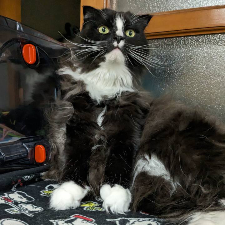 E53d1e29 8420 43ad 8a84 e0b6a43fbdbd 1702382831664