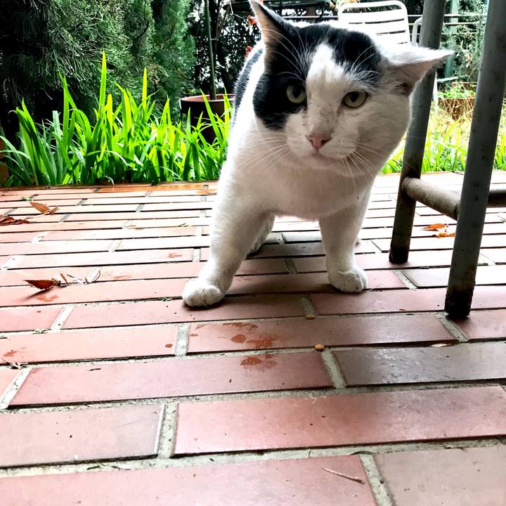 E53d7aca 2001 400b 9f8a 82cdae646b31 1548472183355