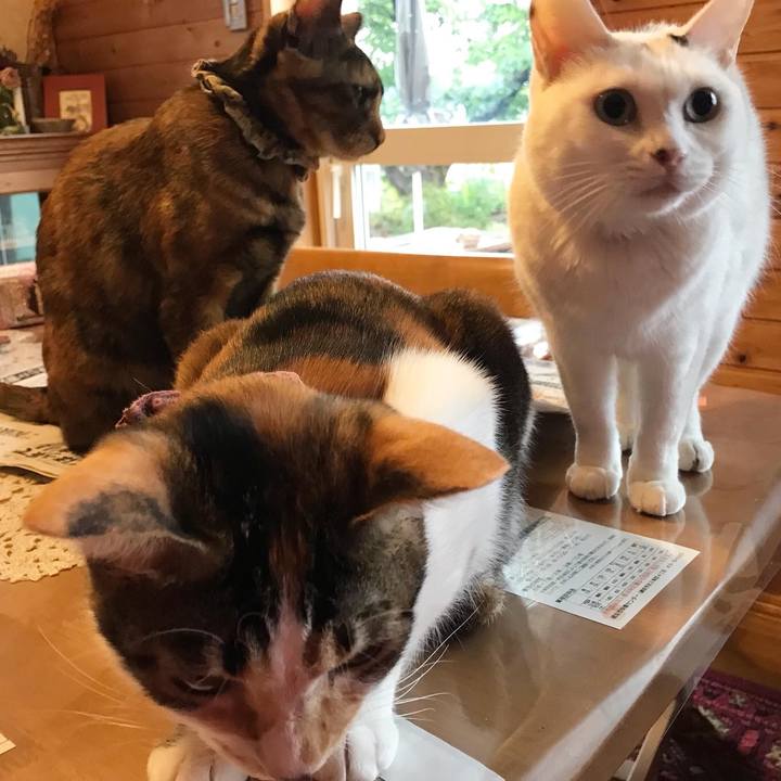 E53d8504 bb6b 43a2 ba4c eaa1ac7bd19f 1633473149166