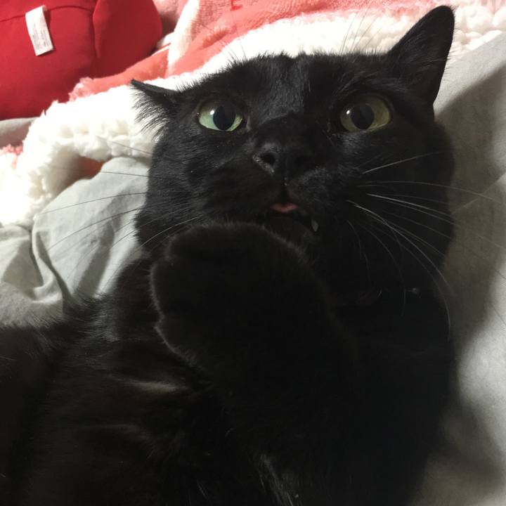 E53dc793 7782 4e58 99b3 0248bb0bc892 1510478089967