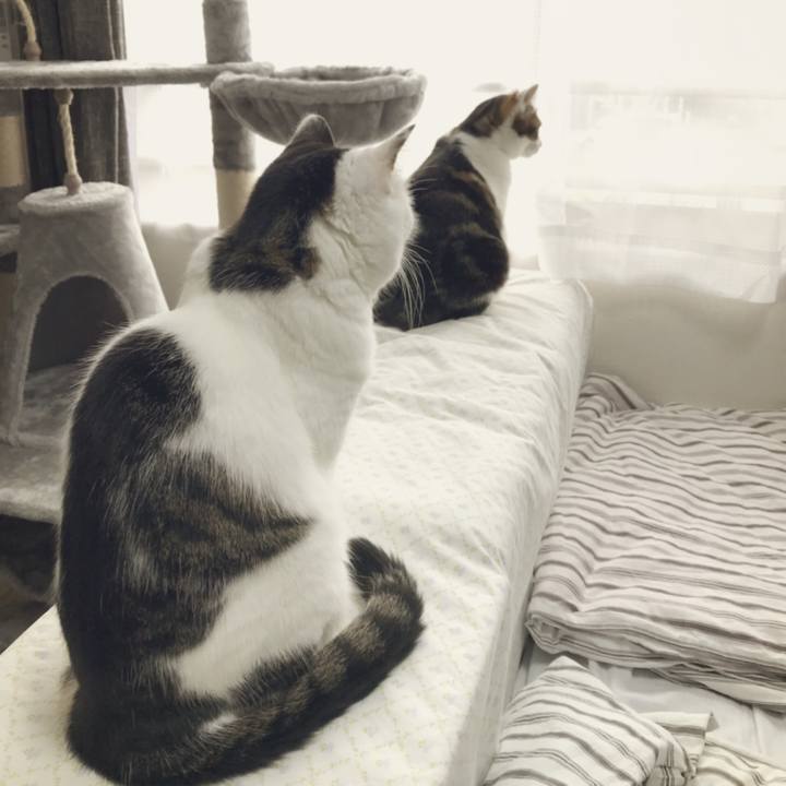 E53dfa0b a9fc 4fce 9d5a ce1bed58a0fb 1539224131316