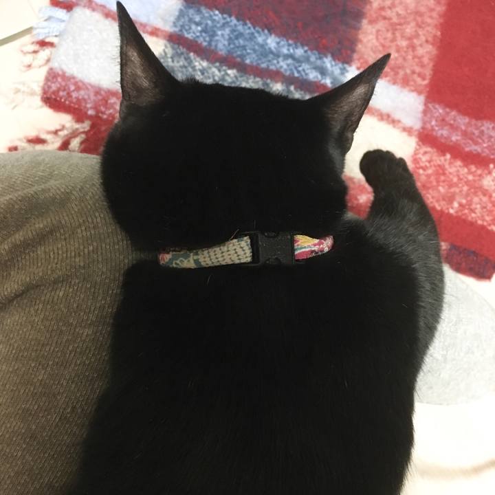 E53e3da9 4012 4409 962a b43d0c74dc54 1517920403295