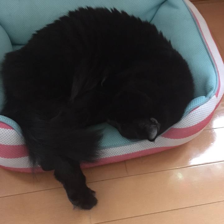 E53e4c12 1855 47b8 a710 f7c29b9ec502 1510120048888