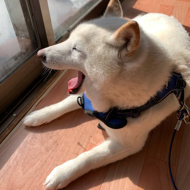 E53e573f 3c18 463d ba5e 3763e3e158a1 1646885644467