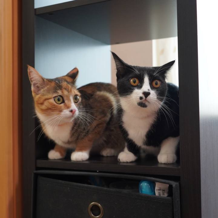 E53e67bc 04b5 4cc3 aee5 462a3f736a57 1593353176338