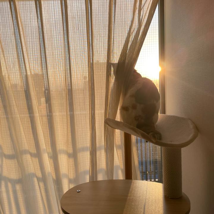 E53e7e42 12cf 4c43 b815 ae8e765e95ff 1648808826557