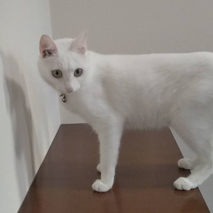 E53ef67e 880e 472c 97a0 9b59949644ec 1629410052702