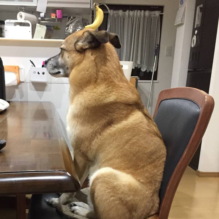 E53f5ed8 c765 4ba0 86c2 875c1181a837 1516267503544