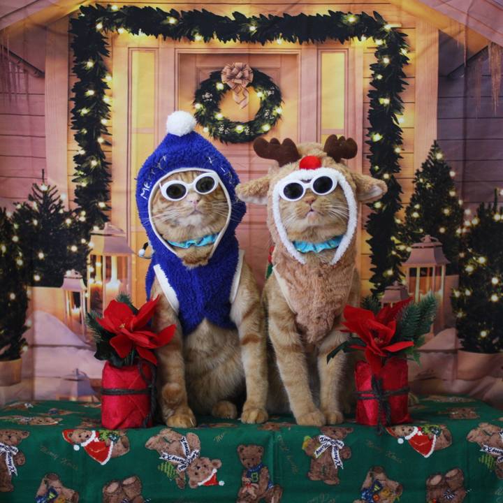 E53f6c4a 9b09 428f 9183 61f1830bf1c2 1735088008612