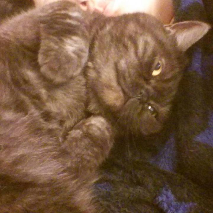 E53f85b7 0ac0 42bf a6a5 f4bbe0df61bd 1574573829300