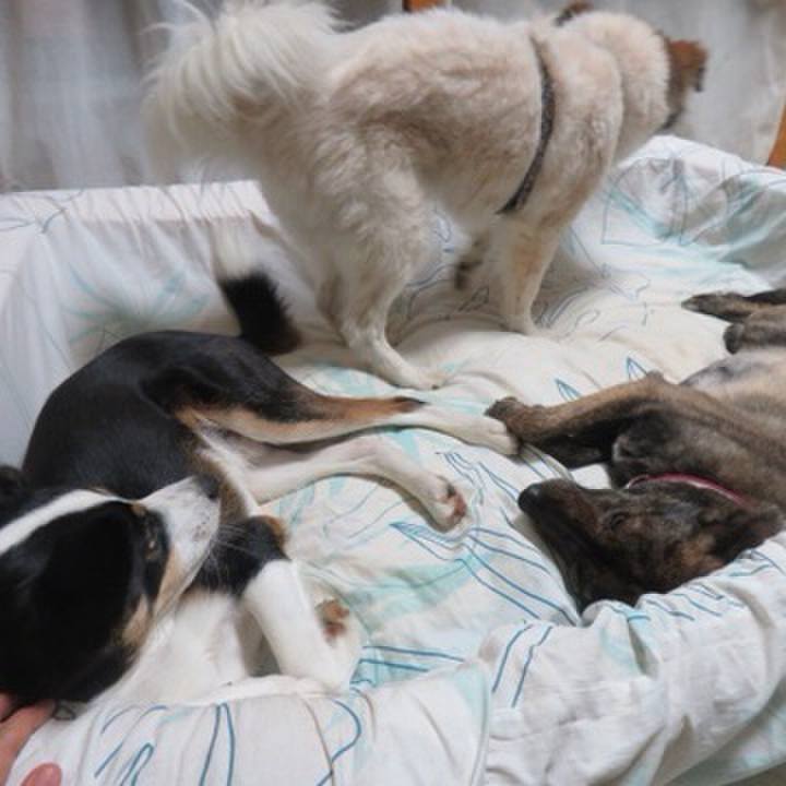 E53f89cd d560 4564 bf2e 050669dd900a 1585098847059